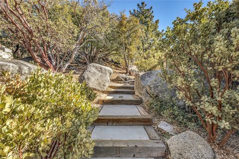 A home in Idyllwild