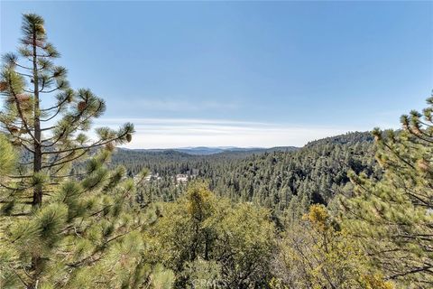 A home in Idyllwild