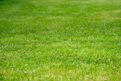 Photo of 0 Vac/96 Ste/Vic Avenue Y2, Juniper Hills, CA 93543 (MLS # CV24048309)