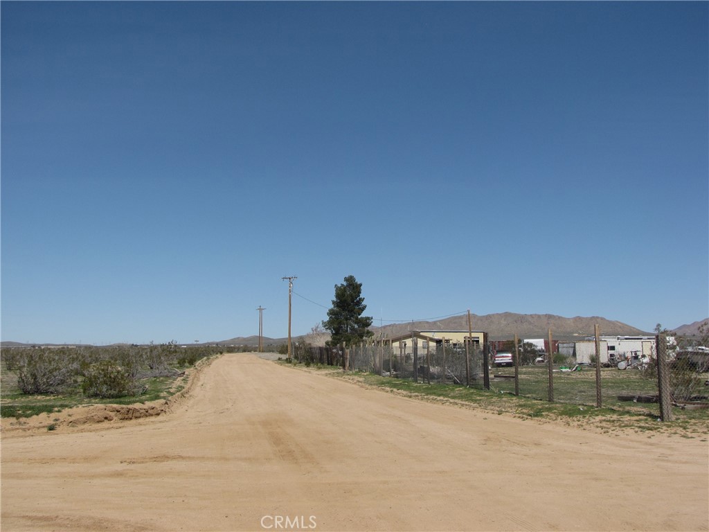 19481 Dachshund Avenue