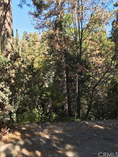 LACSD water and sewer connected and current. Save thousands of dollars in fees. Gentle downslope lot ready for your dream home.