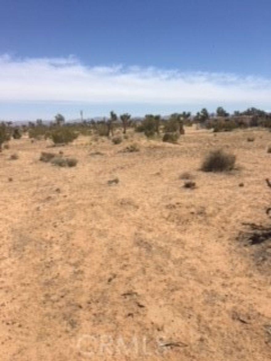 20 ACRES VACANT LOT, SE 1/4 N 1/2 SW 1/4 SEC 12 TP 1N R 9E