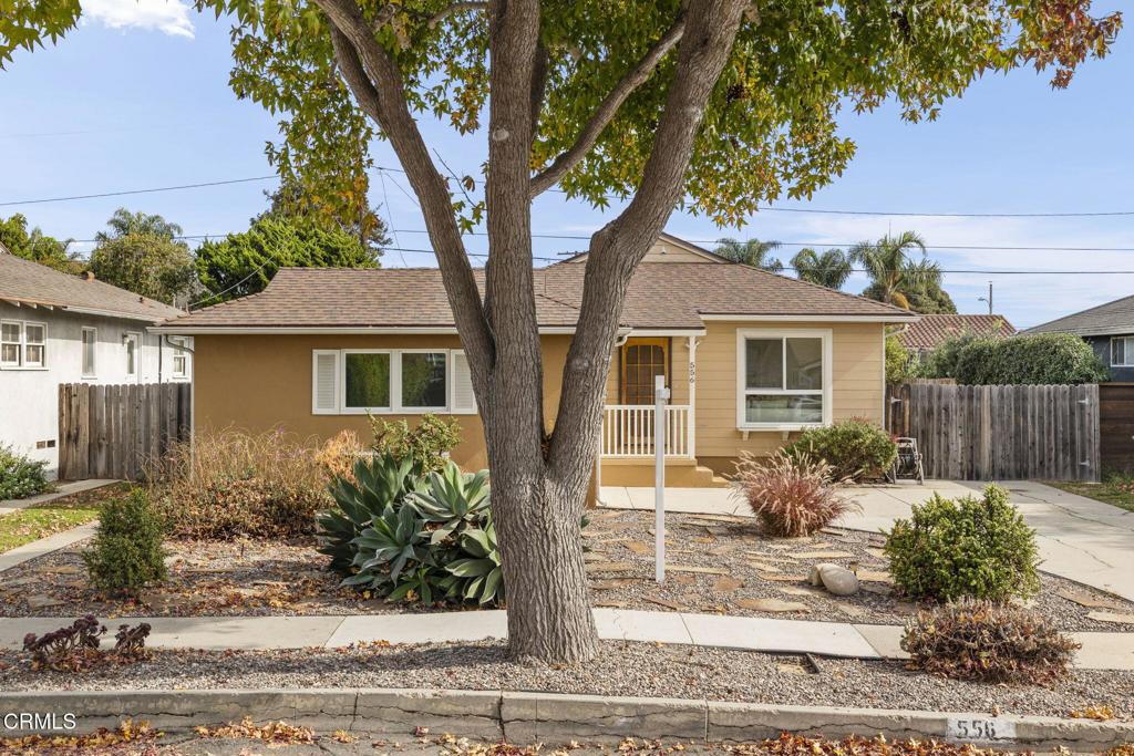 556 Emma Avenue