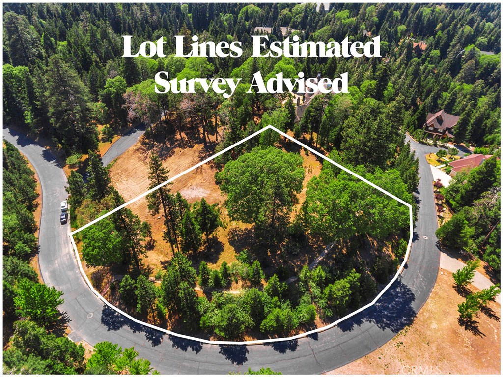 Located in Cedar Ridge Estates with full lake rights, this 1.07 acre corner Lot is perched above the trees with unobstructed forest views. Seller has incredible luxury lodge design plans in hand and beginning stages of grading already started. A parcel like this is a rare find. preview today and start building the ultimate mountain estate!
