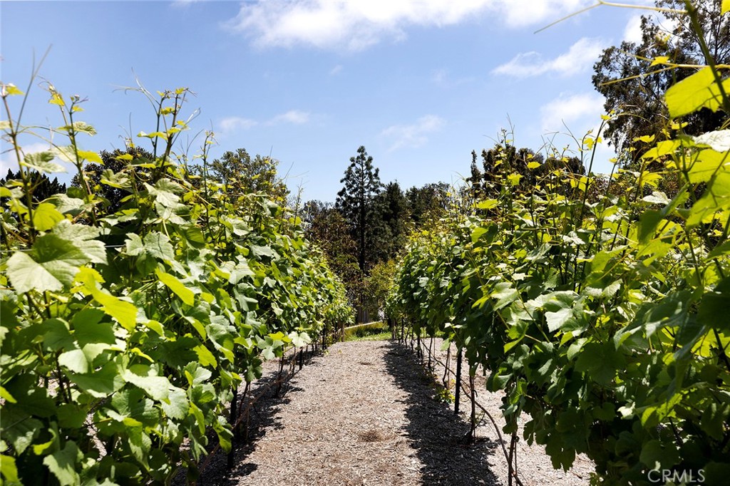 Paseo De La Paz (PZ) - Residential