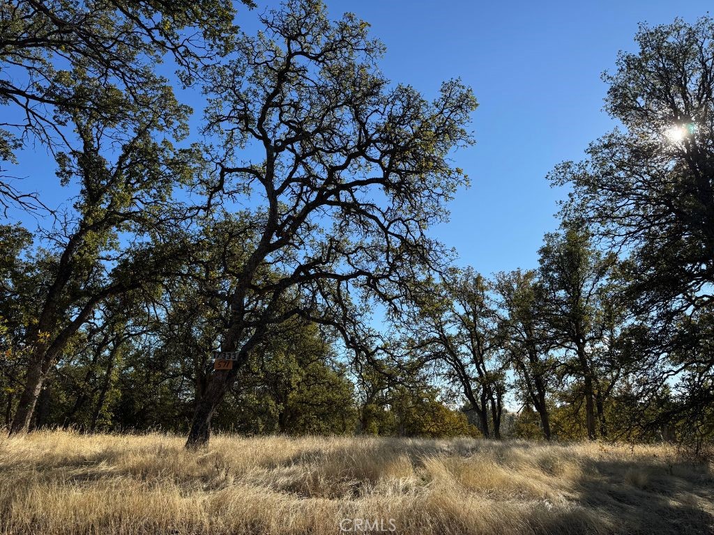 Located just west of I-5 between Red Bluff and Corning, this property sits in the serene and private Rancho Tehama Reserve, a charming rural community in the heart of Tehama County, California. Surrounded by natural beauty of golden-covered hills and breathtaking views of Mt. Shasta and Mt. Lassen in the distance creating a tranquil, picturesque setting. With a short drive to Black Butte Recreation Area, Lake Shasta, and the Sacramento River, this lot is perfect for outdoor enthusiasts who enjoy hiking, boating, fishing, or simply exploring the natural wonders of northern California. Whether you're seeking privacy or looking for a retreat in nature, this location offers an ideal opportunity for those seeking a little more seclusion without straying too far from the conveniences of nearby towns. Seller is also selling 17315 Rancho Tehama Rd.