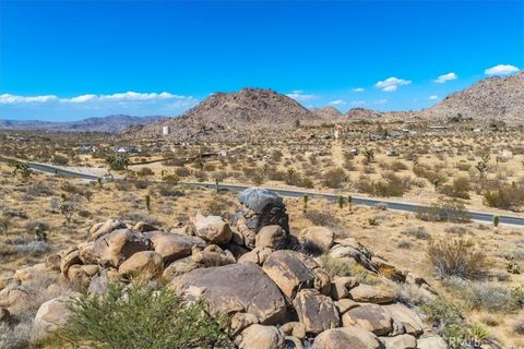 A home in Joshua Tree