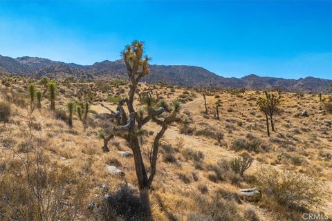 A home in Joshua Tree