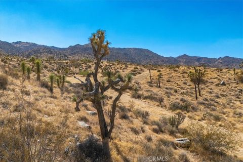 A home in Joshua Tree