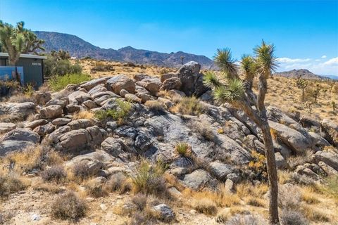 A home in Joshua Tree