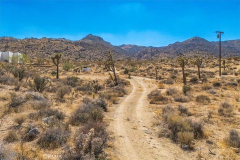 A home in Joshua Tree