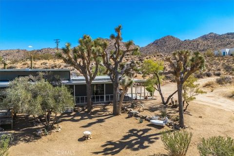 A home in Joshua Tree