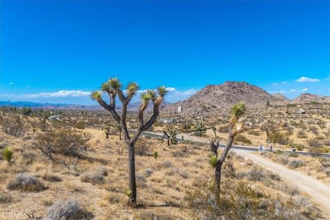 A home in Joshua Tree