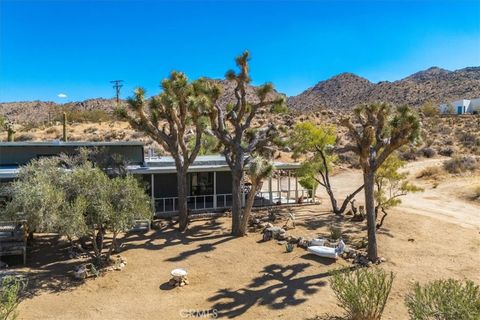 A home in Joshua Tree