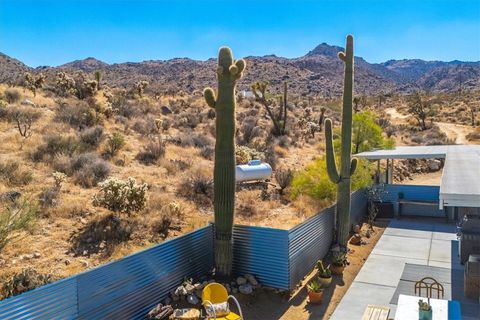 A home in Joshua Tree