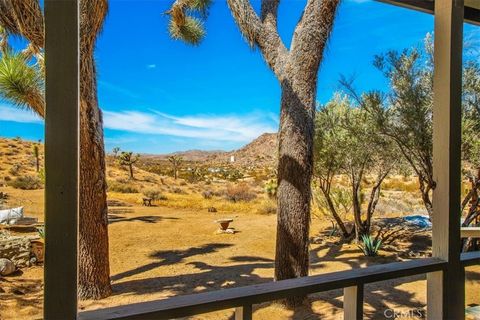 A home in Joshua Tree