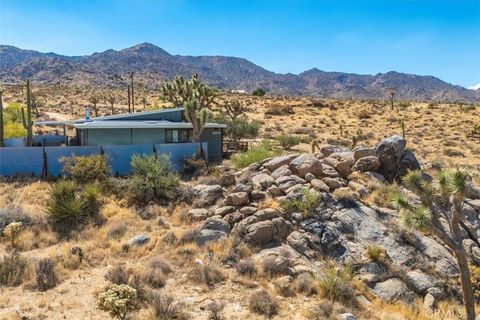 A home in Joshua Tree