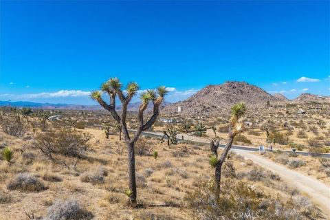 A home in Joshua Tree