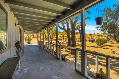 A home in Joshua Tree