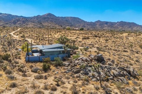 A home in Joshua Tree