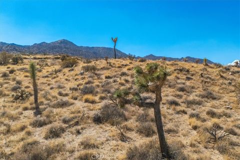 A home in Joshua Tree