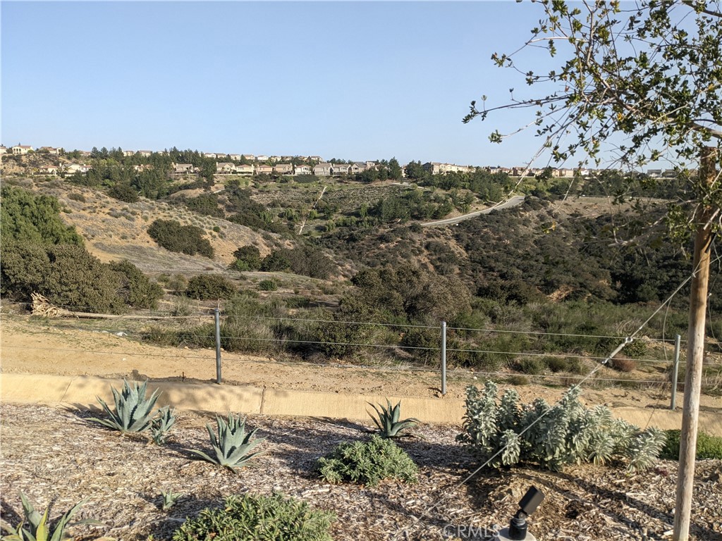 26 COYA Trail