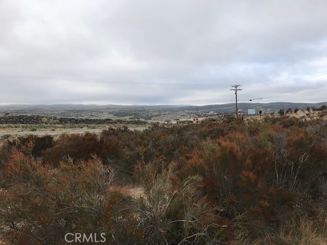 Explore the endless possibilities with this expansive 4.25-acre vacant lot located at 0 Cary Rd in the scenic area of Anza, CA. With its APN 572-210-015 and GPS coordinates at Latitude 33.54404 and Longitude -116.73454, this undeveloped parcel is a treasure waiting to be discovered. Featuring road frontage on Cary Rd, the lot offers easy access and a multitude of development opportunities. Whether you're an investor looking for a solid land investment, a developer aiming to create a new community, or a dreamer planning to build a secluded retreat, this property provides the ideal backdrop for your vision. ****No soils reports, surveys, etc., have been done. Buyer and buyer's agent to verify all information with the city or county for allowable uses and requirements and rely on their own investigations. **Buyer responsible for checking zoning, utilities, permits and exact property boundaries. ****