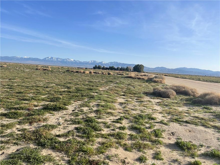 Seize the opportunity to own or lease a substantial 113,116 sq ft lot in the rapidly growing city of Palmdale, an area known for its vibrant aerospace, medical, manufacturing, educational and retail sectors. Located very close to Palmdale Airport and downtown area. Several businesses and companies nearby.