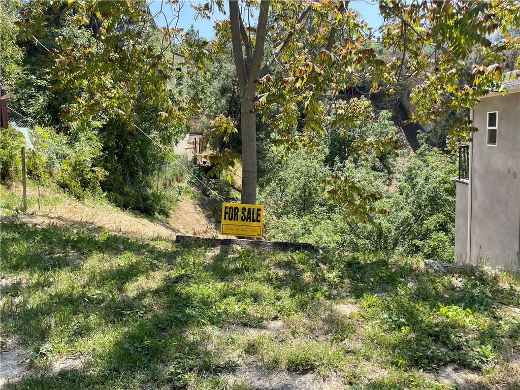 View Montecito Heights, CA 90031 land