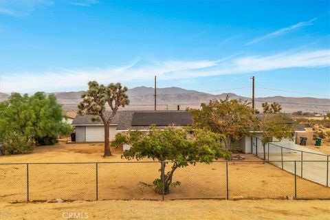 A home in Joshua Tree