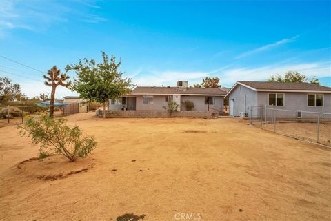 A home in Joshua Tree