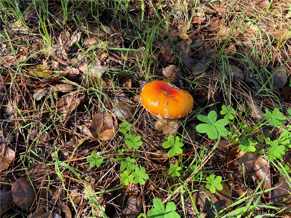 Lodge Hill(430) - Land