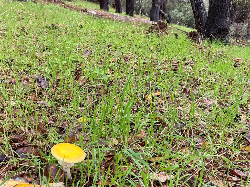 Lodge Hill(430) - Land