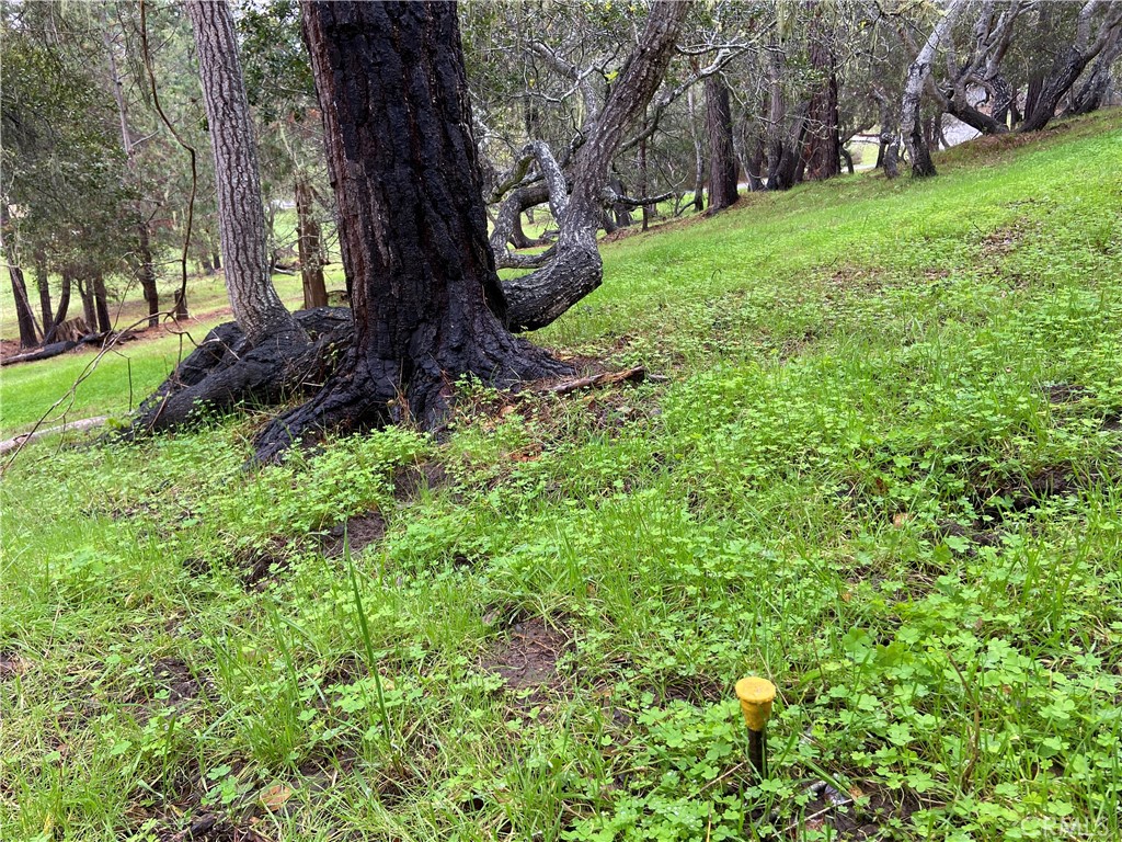 Lodge Hill(430) - Land