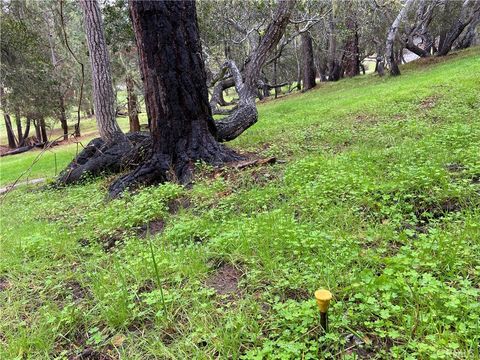 Tiny photo for 0 Kenneth, Cambria, CA 93428 (MLS # SC24012358)