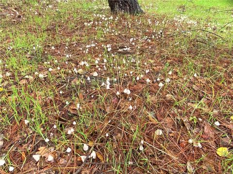 Tiny photo for 0 Kenneth, Cambria, CA 93428 (MLS # SC24012358)