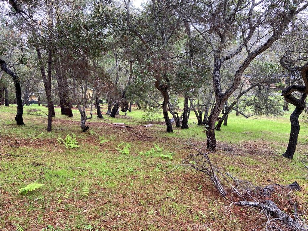 listing image 130725643956386596644