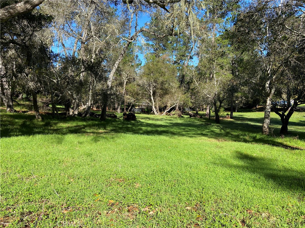Cambria Pines Estates 100' X 175' property with a slight slope and beautifully arranged oak and pine trees!! Perfect for you to transfer water to and plan for the future. Very short walk to Fiscalini Ranch Preserve and many beach accesses on the Marine Terrace, surrounded by other larger parcels, make this one of Cambria's best neighborhoods. Room for all you might want to create, in a beautiful setting. The approximate property lines are indicated by fences of adjacent properties, and there is a surveyor stake at the northwest (back left) corner. Fiscalini Ranch has over 420 acres of walking trails that take you through Monterey Pine forest as well as trails along the Pacific coastline. Cambria is an artistic beach town just south of Big Sur on Highway 1.