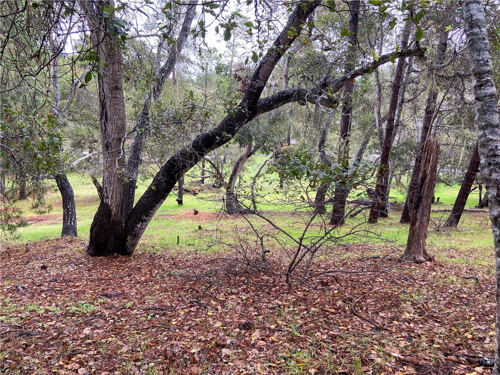 Lodge Hill(430) - Land