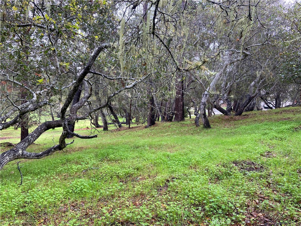 Lodge Hill(430) - Land