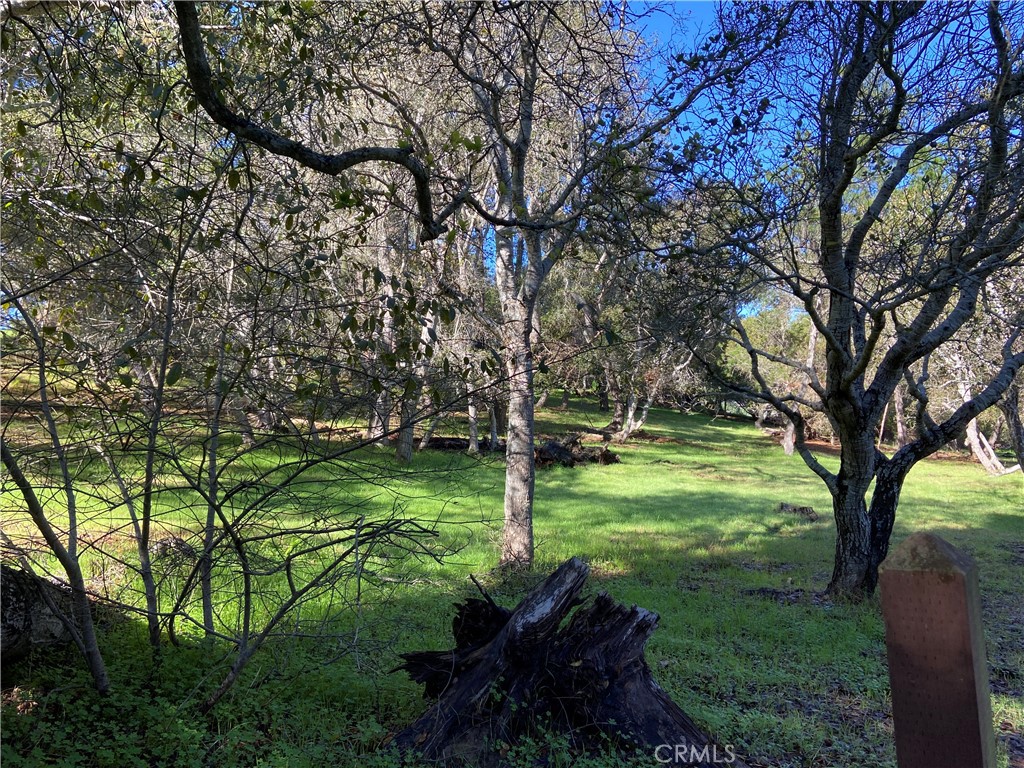 Lodge Hill(430) - Land