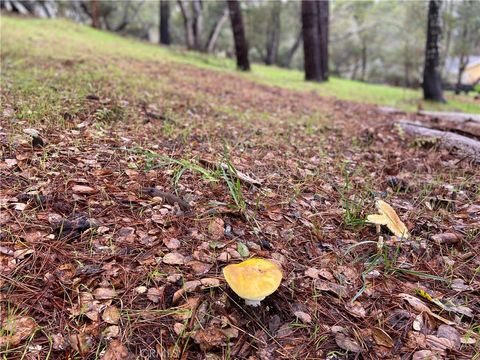 Tiny photo for 0 Kenneth, Cambria, CA 93428 (MLS # SC24012358)