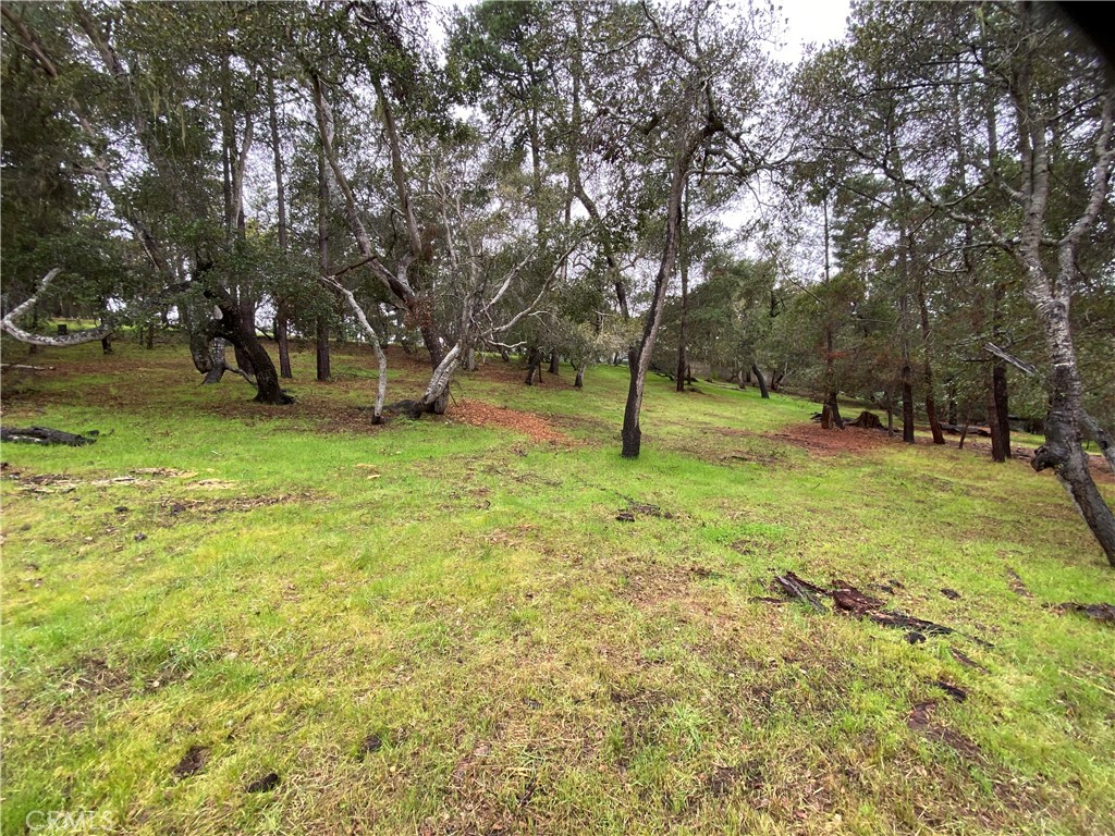 Lodge Hill(430) - Land