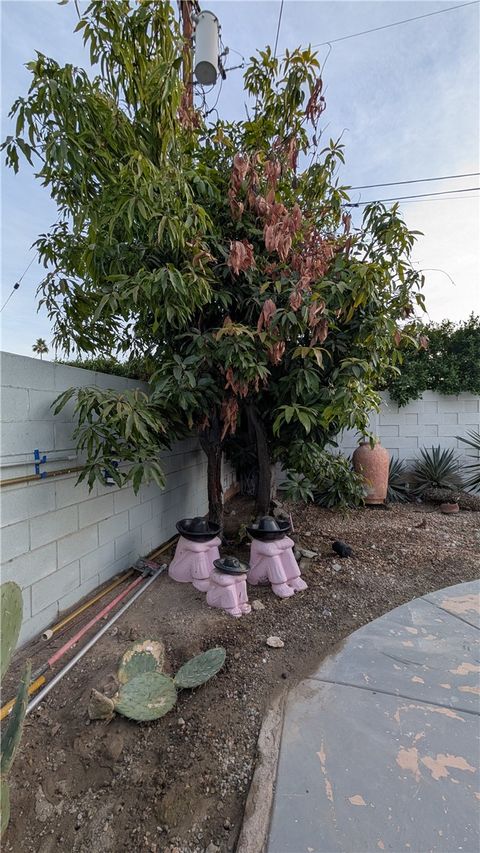 A home in Palm Springs