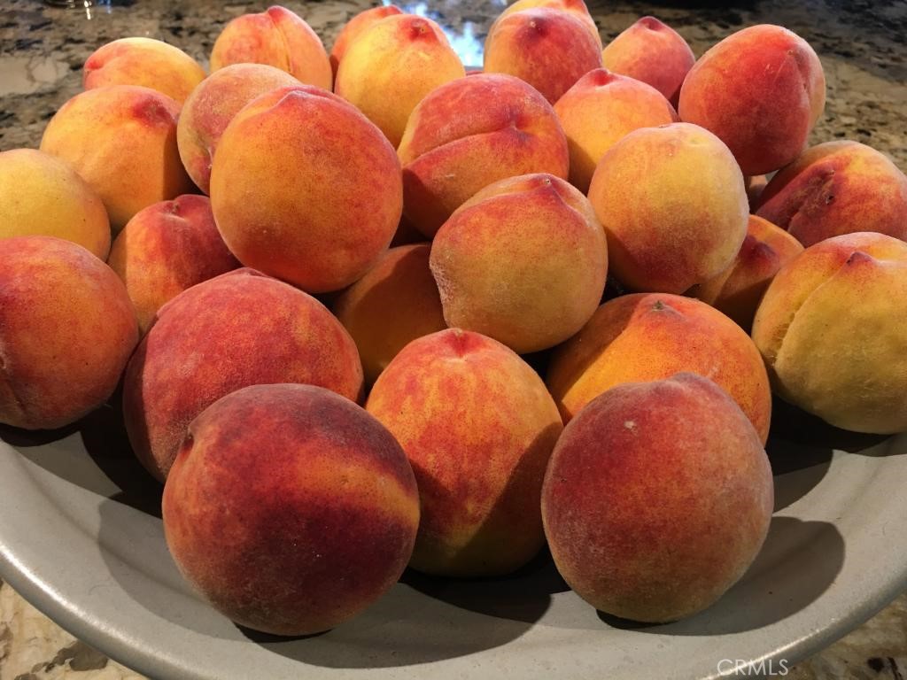 Cambria Rural(390) - Residential