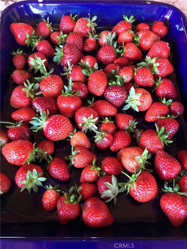 Cambria Rural(390) - Residential