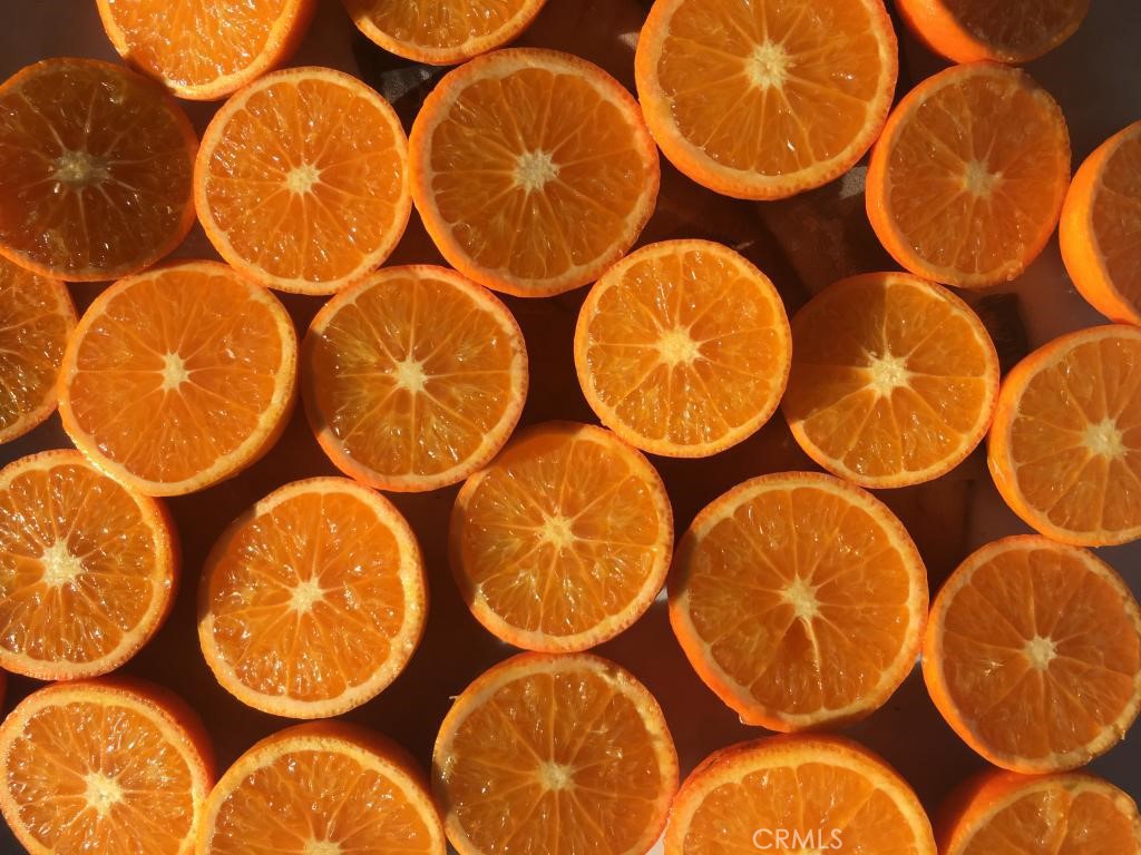 Cambria Rural(390) - Residential