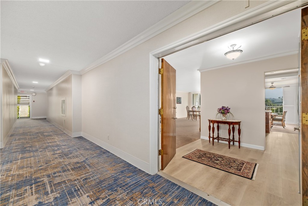 32679 seagate drive 204