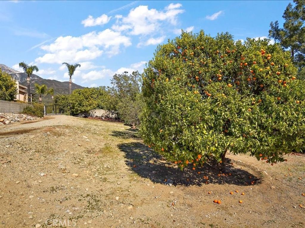 listing image 62
