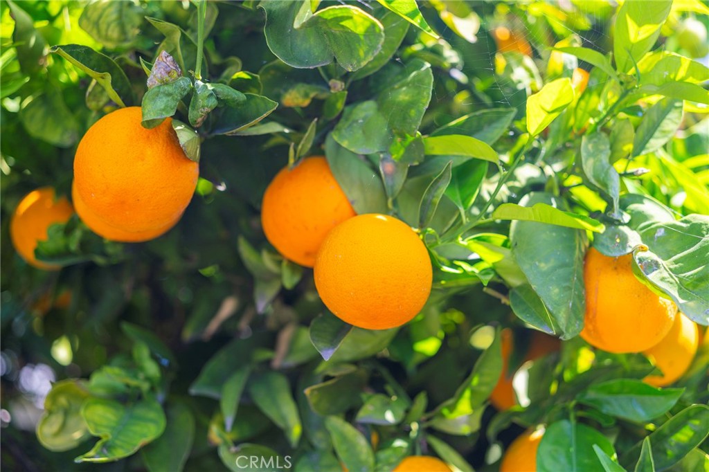 Anaheim Hills Estates (ANHI) - Residential